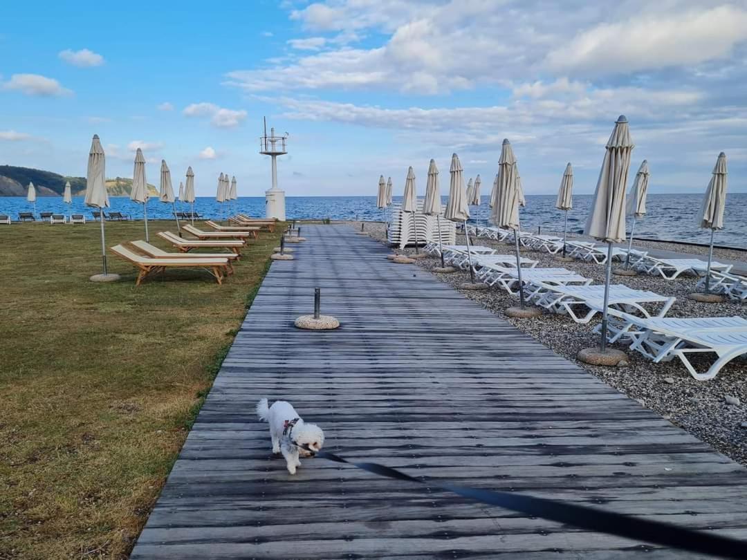 Apartmaji Soncek Изола Экстерьер фото